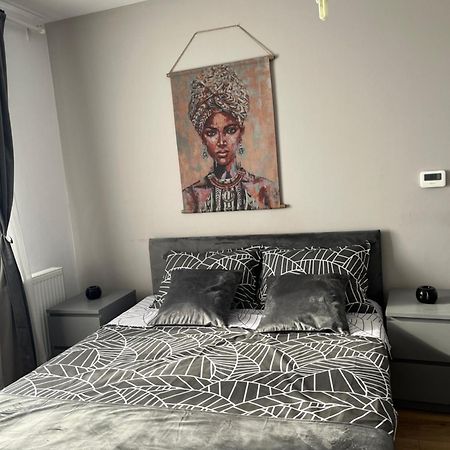 Apartament Acasa Sibiu Dış mekan fotoğraf