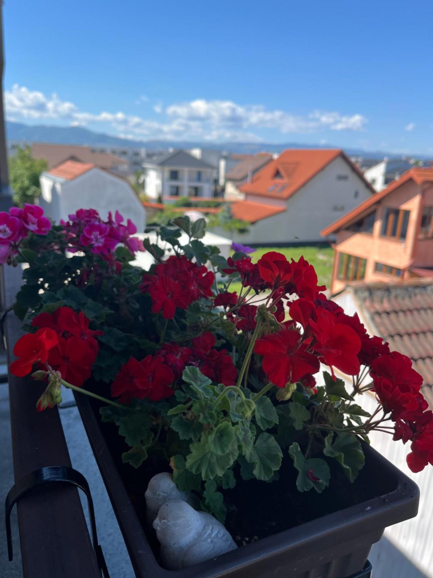 Apartament Acasa Sibiu Dış mekan fotoğraf